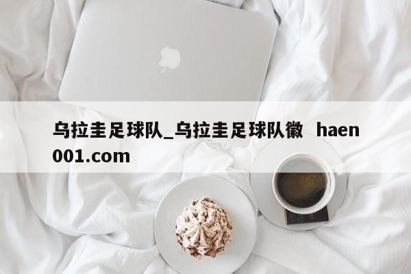 乌拉圭足球队_乌拉圭足球队徽 haen001.com