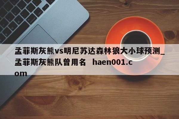 孟菲斯灰熊vs明尼苏达森林狼大小球预测_孟菲斯灰熊队曾用名  haen001.com